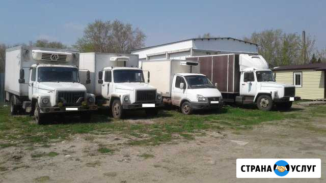 Грузоперевозки рефы и тенты 1,5-12т Курск - изображение 1