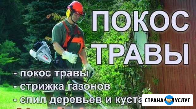Покос травы Каневская - изображение 1