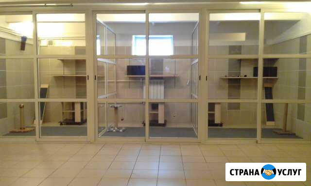Зоогостиница Багира Премиум Рязань - изображение 1