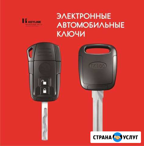 Автомобильные ключи и чипы Саратов - изображение 1