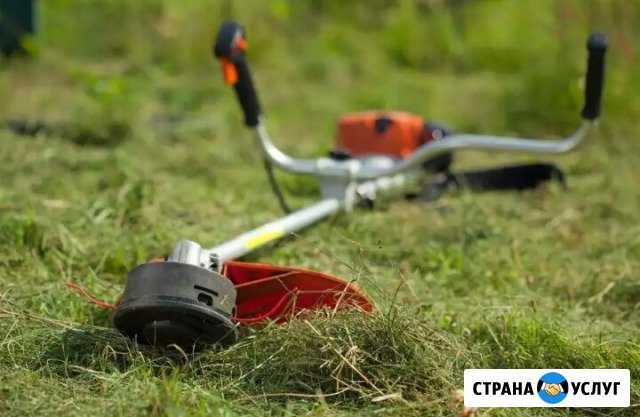 Покос травы и спил мелких деревьев Старомышастовская - изображение 1