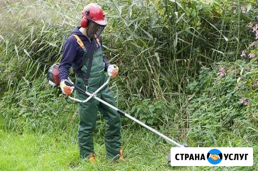 Скашивание травы и покос бурьяна Переславль-Залесский - изображение 1