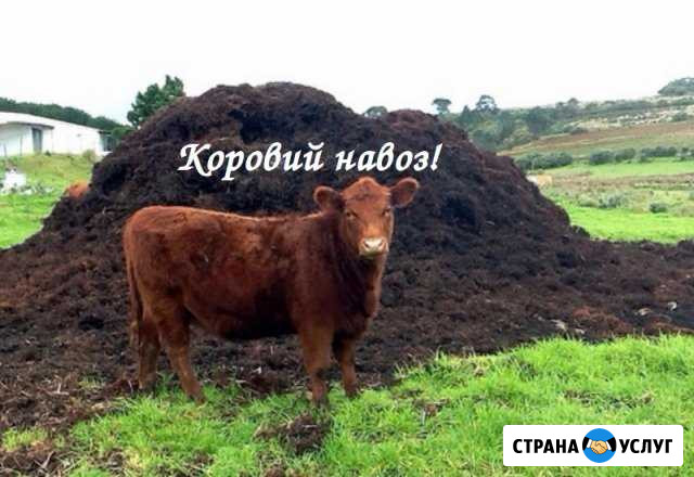 Навоз, удобрения цена за полный газон Волгодонск - изображение 1