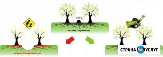 Уничтожение/Дробление пней Новосибирск