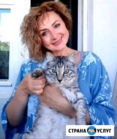 Подготовка ребенка к школе Казань - изображение 1