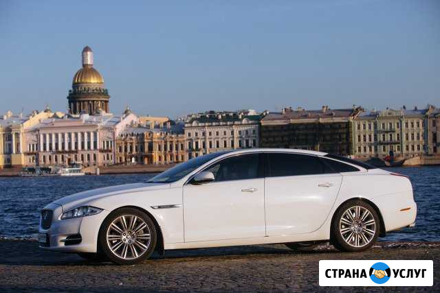 Jaguar XJ long с водителем, авто на свадьбу Санкт-Петербург - изображение 1