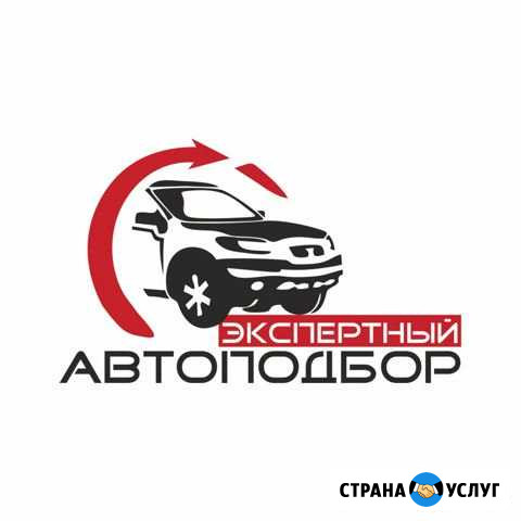 Помощь в подборе автомобиля Череповец - изображение 1