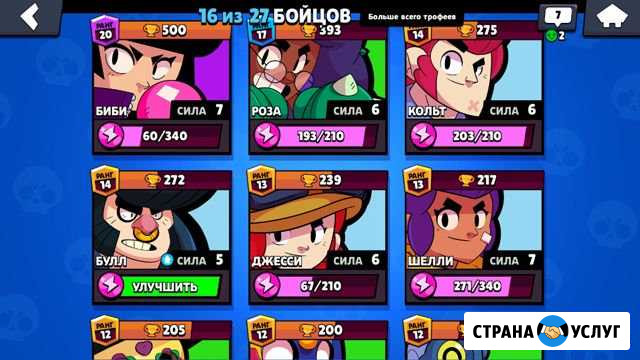Тренер по Brawl stars Шали - изображение 1