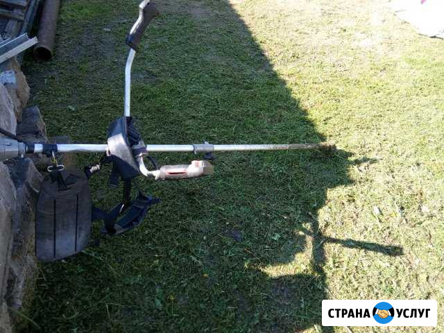 Скос травы,спил деревьев на кладбище Вязьма - изображение 1