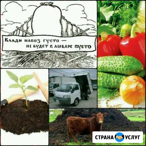 Перегной, чернозем, песок Миасс - изображение 1