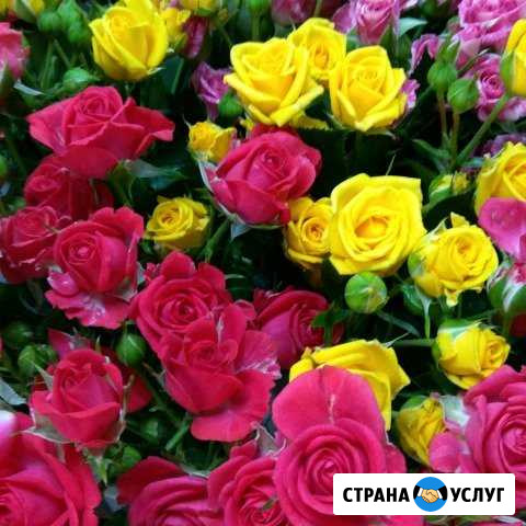 Предлагаю услуги няни (сиделки) Будённовск - изображение 1
