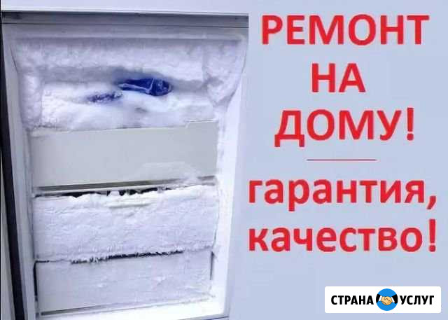 Ремонт Холодильников Санкт-Петербург - изображение 1
