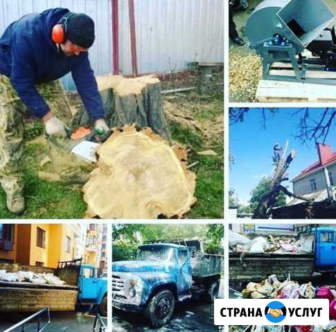 Спил деревьев.вывоз Минеральные Воды - изображение 1