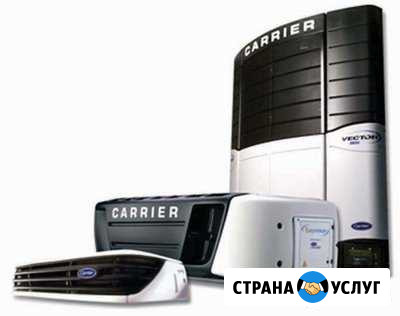 Ремонт Рефрижераторов Carrier Thermo King Челябинск - изображение 1