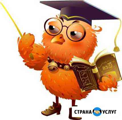 Репетитор математика, физика, информатика Таганрог