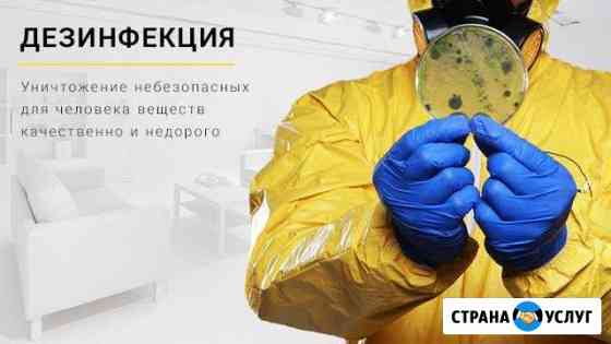 Уборка, Дезинфекция Выселки