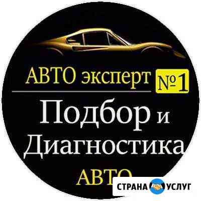 Автоподбор выездная Диагностика Чебаркуль