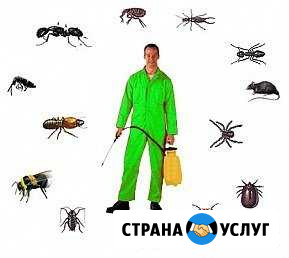 Хим. обработка дач,квартир, зернохранилищ Кузнецк - изображение 1