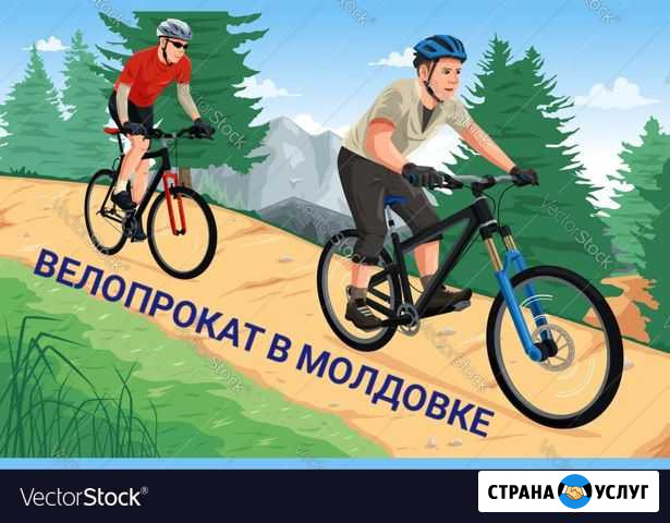 Велопрокат в молдовке Высокое - изображение 1