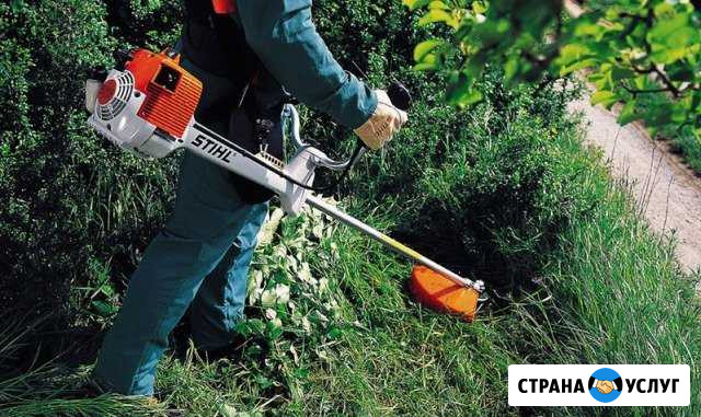 Покос травы Полтавская - изображение 1