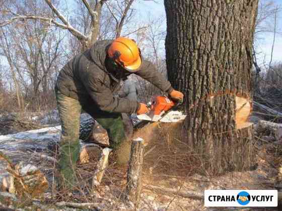 Спил деревьев/Удаление кустарника или бурьяна Ишим