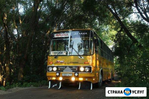 Заказ ретро автобуса. Икарус 260 Москва - изображение 1
