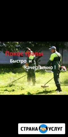 Услуги покоса травы Новоаннинский - изображение 1