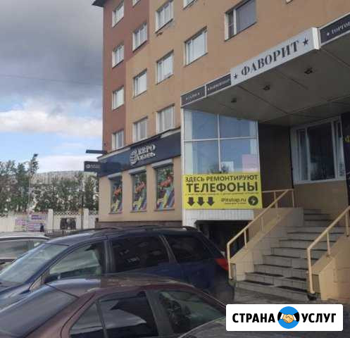 Срочный ремонт телефонов в день обращения Мурманск - изображение 1