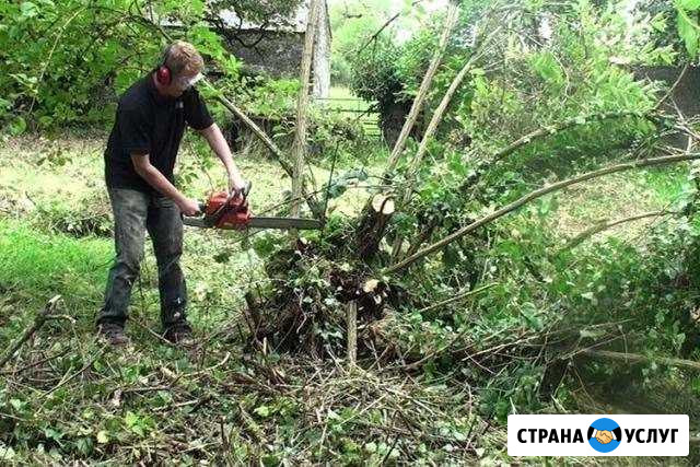 Очистка участка, спил деревьев, покос травы, вывоз Батайск - изображение 1
