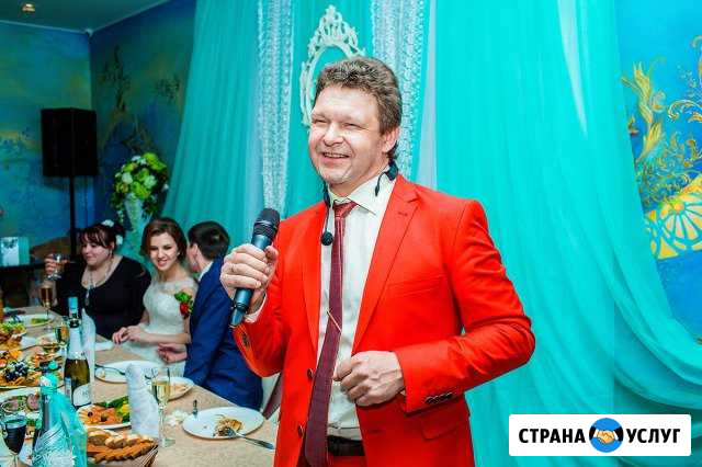 Тамада в Домодедово, Подольске, Москве мо баянист Подольск - изображение 1