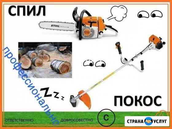 Спил деревьев, корчевание, покос травы, кустарника Брянск