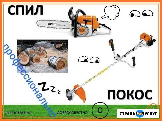 Спил деревьев, корчевание, покос травы, кустарника Брянск - изображение 1