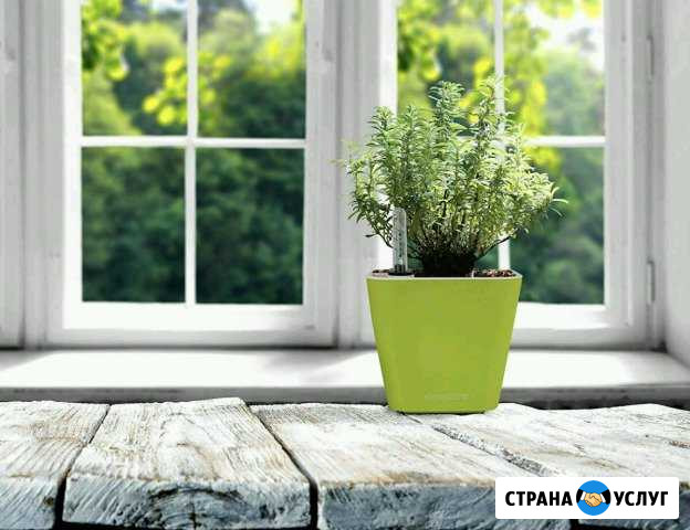 Окна пластиковые Калининград - изображение 1