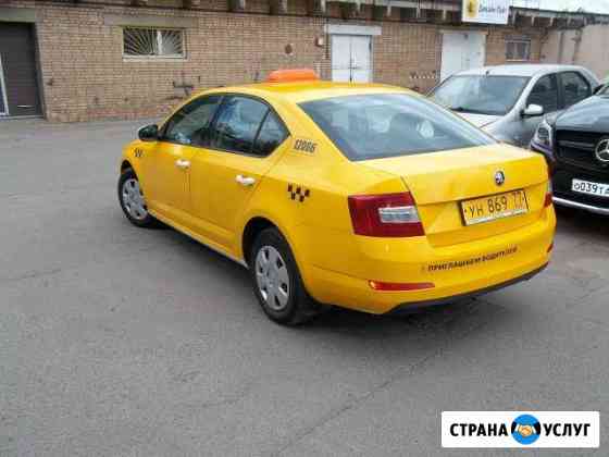 Аренда skoda octavia Москва