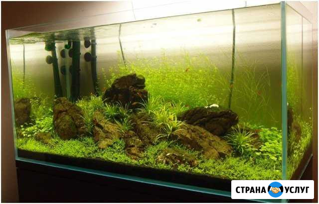 Обслуживание аквариумов Набережные Челны - изображение 1