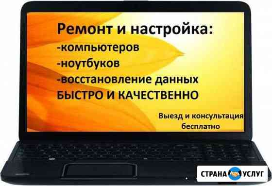 Ремонт компьютеров и ноутбуков любой сложности Пушкино