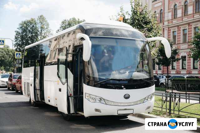 Автобус на свадьбу, транспорт на заказ, перевозки Санкт-Петербург - изображение 1