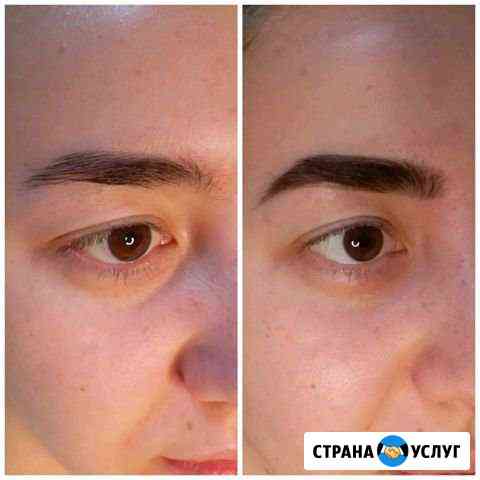 Бровист Москва