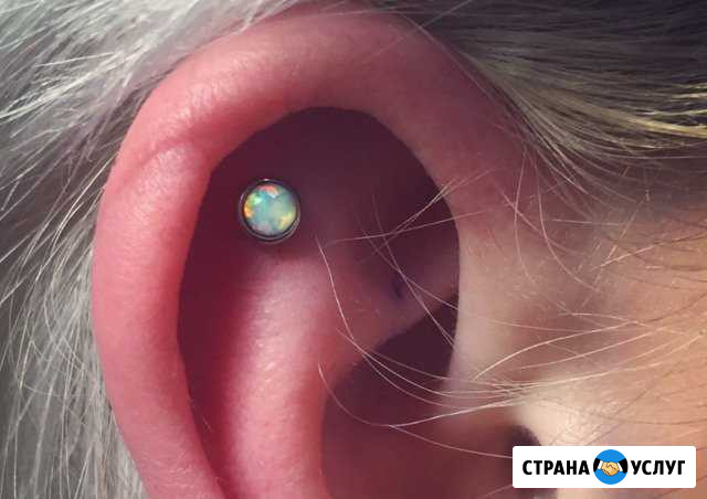 Пирсинг в Саратове.) Саратов - изображение 1