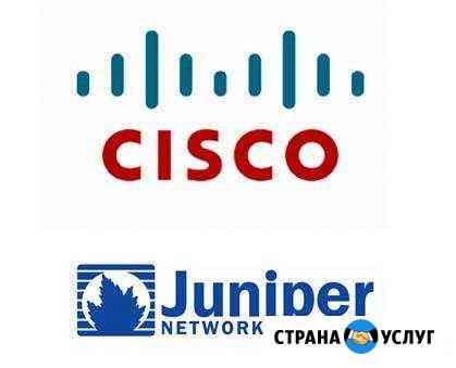 Настройка сетевого оборудования (Cisco, Juniper, E Химки