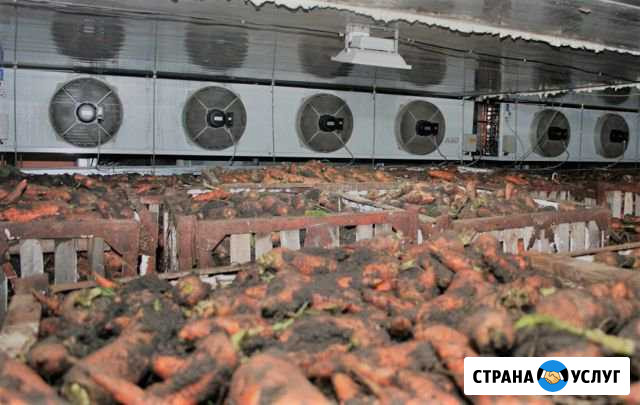 Монтаж овощехранилищ, фруктохранилищ Красногвардейское - изображение 1
