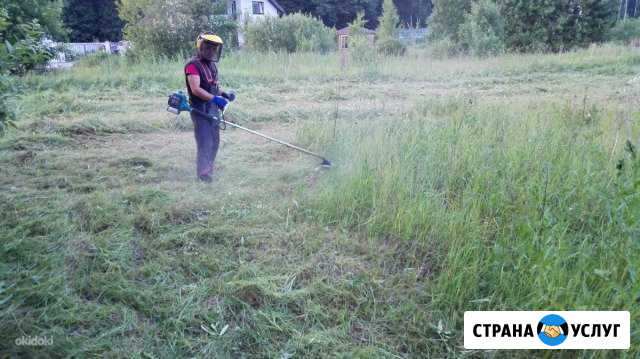 Покос Волоколамск - изображение 1