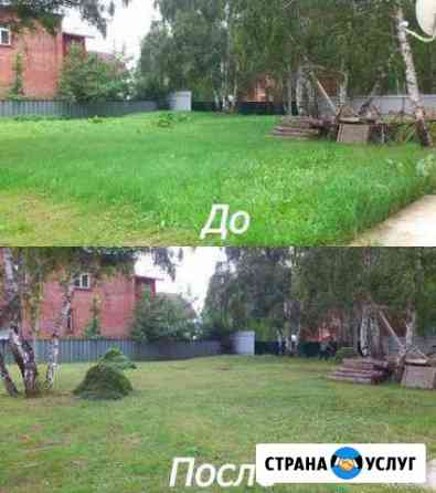 Расчистка участка под ключ.Покос.Спил.Вывоз мусора Пенза