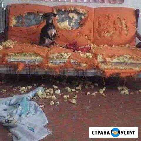 Ремонт, обивка, перетяжка мебели Королев