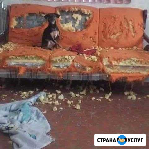 Ремонт, обивка, перетяжка мебели Королев - изображение 1