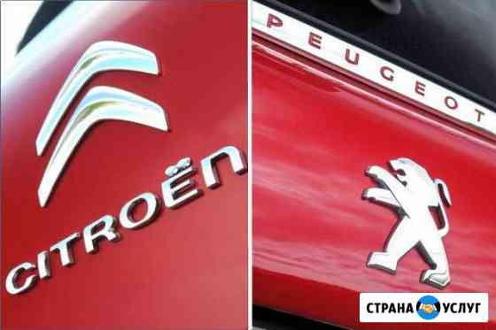 Peugeot / Citroen компьютерная диагностика Киров