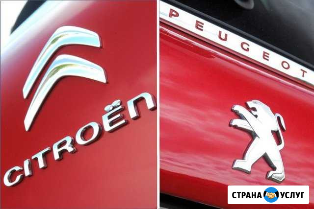 Peugeot / Citroen компьютерная диагностика Киров - изображение 1
