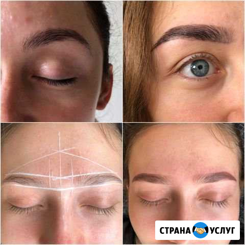 Модель на архитектуру и окрашивание бровей Мытищи - изображение 1