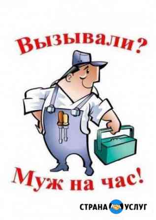 Муж на час Курчатов