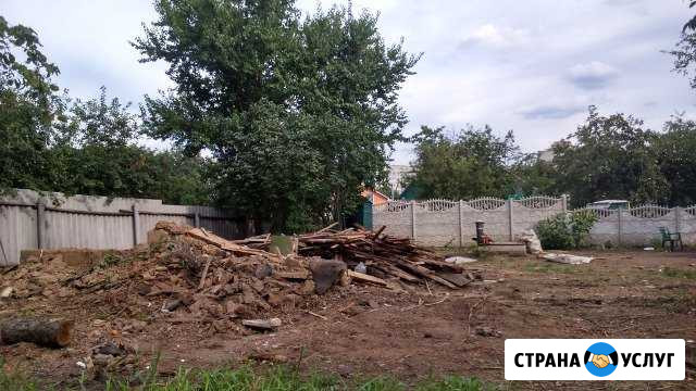 Уборка участков /Спил деревьев/ Слом/Посадка/Газон Санкт-Петербург - изображение 1